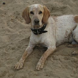 ���� ������, ������, 46 ��� - ��������� 10 ������ 2014