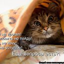 ���� ������, ������ - ��������� 17 �������� 2014 � ������ ������ ��������