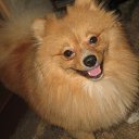 ��� ������� �������))) �� ������� ���� ����������