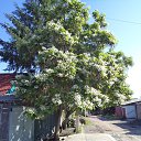 ���� �������, ������, 71 ��� - ��������� 24 ������ 2014 � ������ ���� ����������