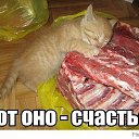 ���� �����, �����, 61 ��� - ��������� 2 �������� 2014 � ������ ������ ��������