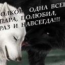 ���� �������, ������ - ��������� 17 �������� 2014 � ������ ������ ��������