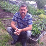 .����, 63 ����, �����