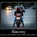 ���� ��������, ��������������, 56 ��� - ��������� 11 ������� 2014 � ������ ���� ����������
