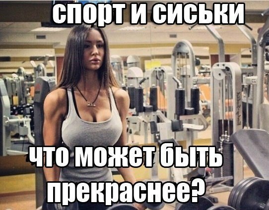 SportFeed - 1  2014  11:12