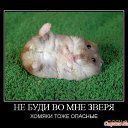 ���� ���, ������ - ��������� 24 ������� 2014 � ������ ��������
