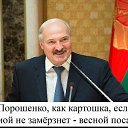 ���� ������, �������� - ��������� 12 ������� 2014 � ������ ������ ��������