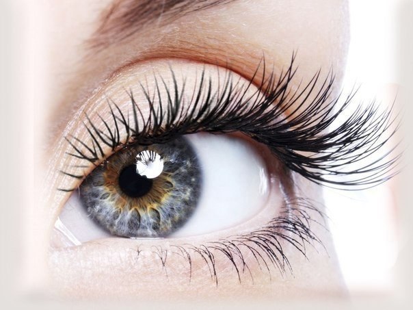   .       ! -   ,  ...