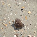 ���� ����, ����, 54 ���� - ��������� 2 �������� 2014 � ������ ��������� 2014�