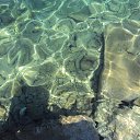 ���� ����, �����-��������� - ��������� 16 ������ 2014 � ������ ������ ��������