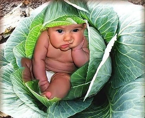 ★   ★ - 13  2014  03:57