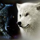 ���� =_Black And White_=, ��� - ��������� 1 �������� 2014