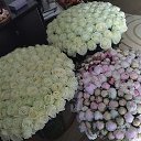 ���� ����, ������, 32 ���� - ��������� 17 ������ 2014 � ������ ������ ��������