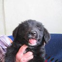 ���� �������, �����-���������, 43 ���� - ��������� 24 ������� 2014 � ������ ������ ��������