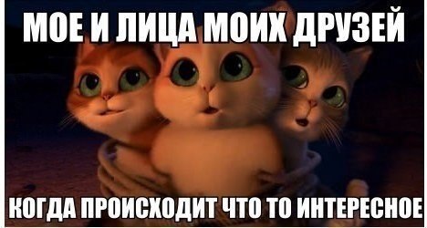  - 19  2014  16:30