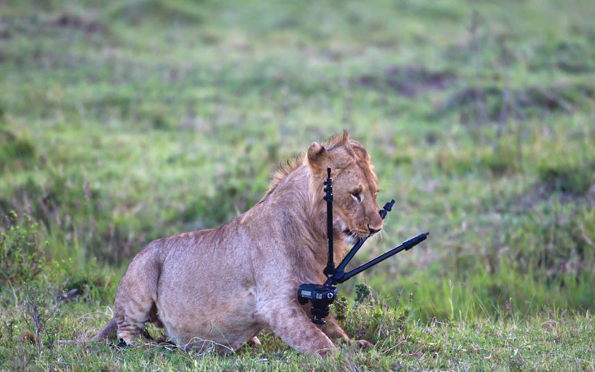�� ������ � �������: ���������� ����� ������� ���� ���� ����������.���������������� �������� � ��� ... - 2