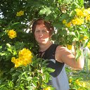 ���� �����, �����, 49 ��� - ��������� 2 ������� 2014 � ������ ���� ����������