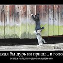 ���� ���������, �����, 53 ���� - ��������� 5 ������� 2014 � ������ ������ ��������