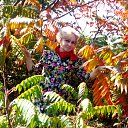 ���� �����, ����� - ��������� 5 ������� 2014