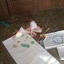 ���� �������, ������, 42 ���� - ��������� 14 ������ 2014 � ������ ���� ����������