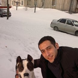 Vuqar, ����, 40 ���