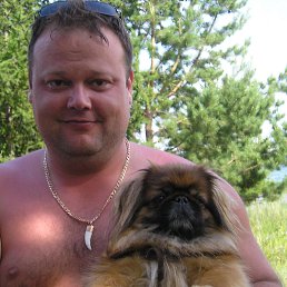 �������, �����������, 53 ����