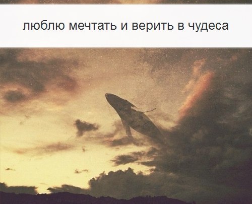 tumblr - 22  2014  10:22