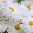 ���� ��������, ������ - ��������� 24 ������ 2014 � ������ ���� ����������