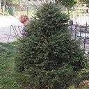 ���� Svetlana, �������, 61 ��� - ��������� 25 ������� 2014