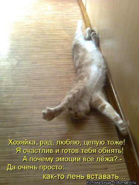 Marina - 13 ������ 2014 � 07:47