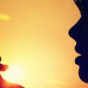 ���� ��������, ������, 44 ���� - ��������� 24 �������� 2014 � ������ ���� ����������