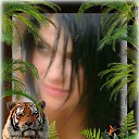 ���� ����, ������, 48 ��� - ��������� 5 ������� 2014 � ������ ���� ����������