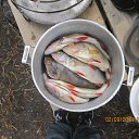  , , 50  -  4  2014     &quot; &quot;