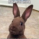 ���� �������, �����-���������, 50 ��� - ��������� 3 ������ 2014 � ������ ������ ��������