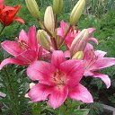 ��� ����� � ����...