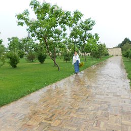 ���� �������, �����, 71 ��� - ��������� 28 �������� 2014