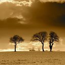 ���� ����� - �����, ������������ - ��������� 23 ������� 2014 � ������ ���� ����������