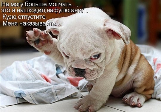 �����������, ���� �����������!!! fotostrana.ru/public/237440/?