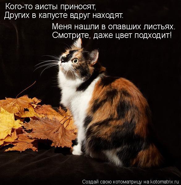 Marina - 30 ������� 2014 � 10:34