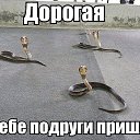 ���� ����, ��������, 50 ��� - ��������� 3 ������� 2014 � ������ ���� ����������