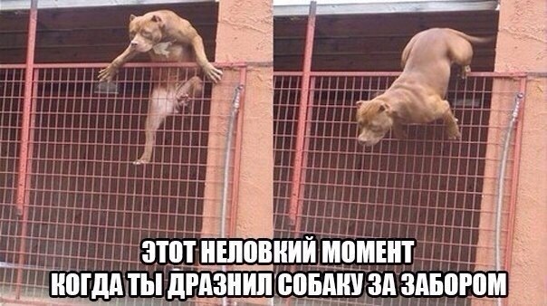 �������� ���� - 14 ������ 2014 � 16:33