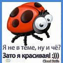 ���� ���� ))), ������ - ��������� 14 ������� 2014 � ������ ������ ��������