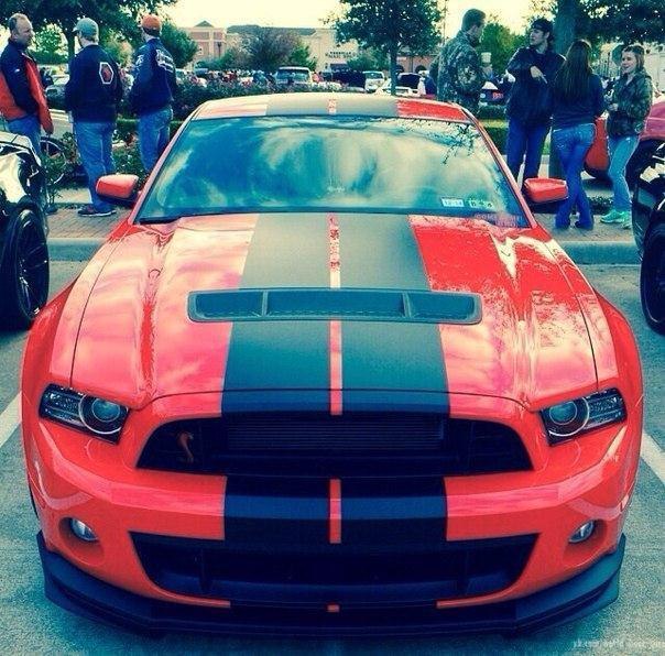 Shelby GT500.