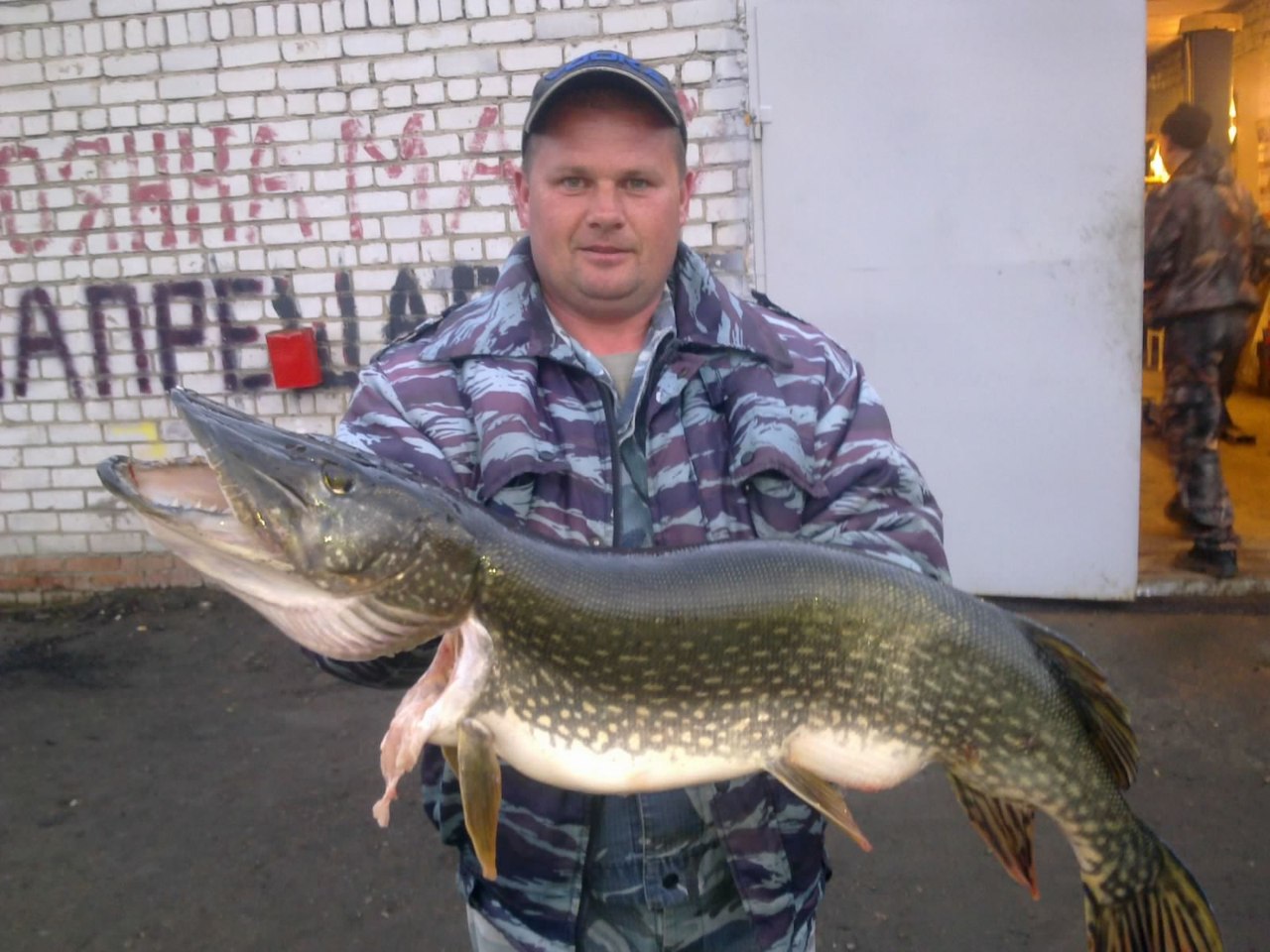 ����� ������� - 15 ������ 2014 � 16:50 - 2