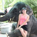 ���� ����, �����-��������� - ��������� 23 �������� 2014 � ������ ���� ����������