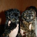 ���� ����, �����-���������, 47 ��� - ��������� 26 ������� 2014 � ������ ���� ����������