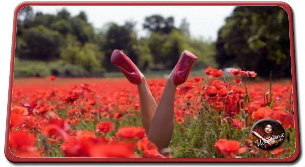 Зачеркну назойливое прошлое... И , живу счастливей, чем вчера... Невозможно быть для всех хорошею... ...