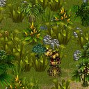 ���� �����, �������, 51 ��� - ��������� 10 ������� 2014 � ������ �Tropikania�