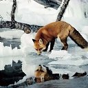 ���� �����, ������ - ��������� 17 ������� 2014 � ������ �animals�
