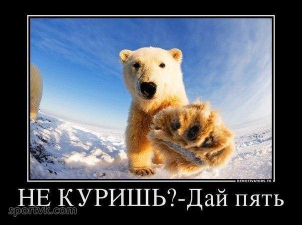  -   - 1  2014  07:14